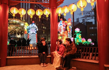 Lanterns with Chinese characteristics seen at China Town in Yokohama