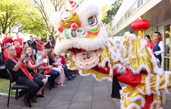 New Zealand's Wellington community celebrates Chinese New Year in Central Park