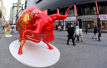 Ox-themed statues seen during Chinese Lunar New Year