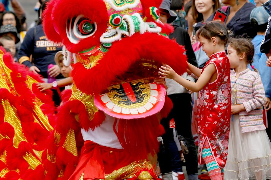Chinese New Year Festival parade held in Wellington, New Zealand