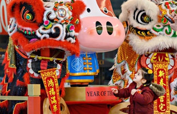 People all over world take part in Chinese New Year celebrations