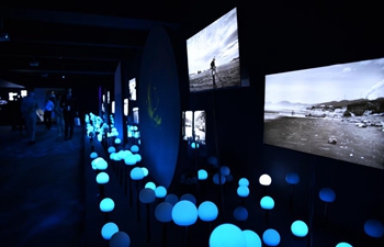 "Dreamy Ocean - Composition of Ecological Space" art exhibition kicks off in Hainan