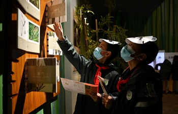 Students visit Chengdu Giant Panda Museum in Chengdu