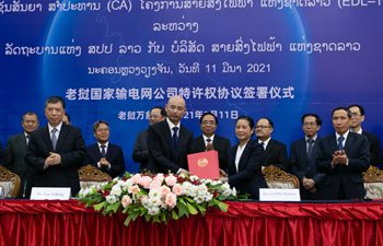 Chinese, Lao grid joint venture signs concession pact with Lao gov't