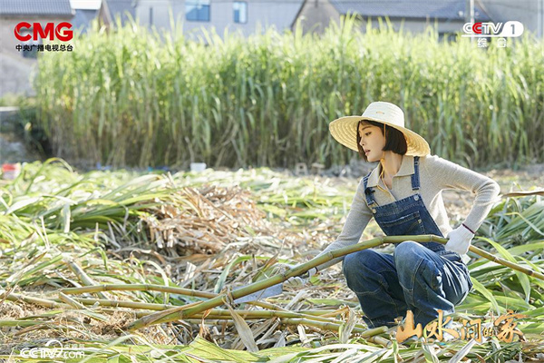 《山水间的家》见证乡村振兴中的文化力量