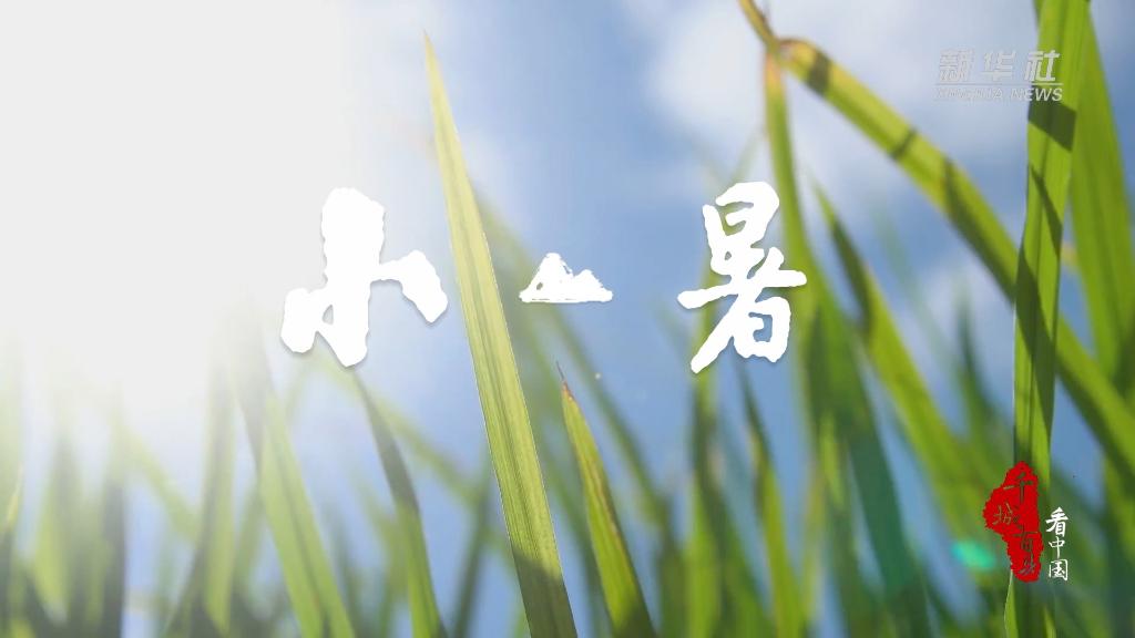 万物渐盛，暑气蒸腾