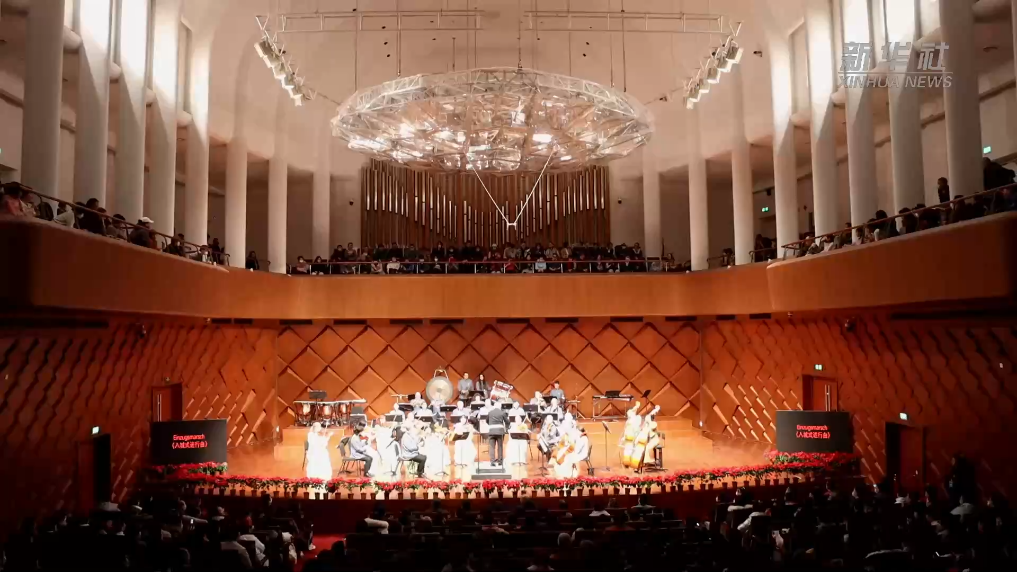 河北廊坊：新年音乐会 奏响文化交流新乐章