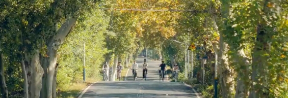 千年穿越 假如李白再回江夏