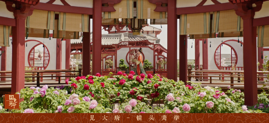 《国色芳华》热播带动牡丹热销、旅游热潮