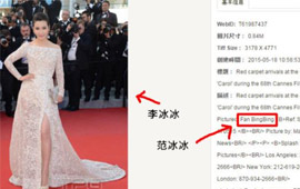 外媒“双冰”傻傻分不清