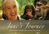 纪录片单元评委会委员：罗伦兹&middot;柯纳尔