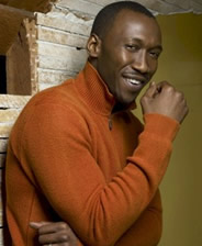 马赫沙拉&middot;阿里 《月光男孩》