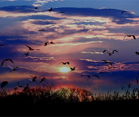 赫哲族唱响新&ldquo;乌苏里船歌&rdquo;