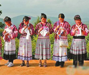 苗族刺绣：把自然和历史穿在身上