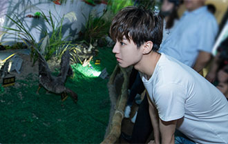 王俊凯为保护东北虎发声 致敬巡护工作者