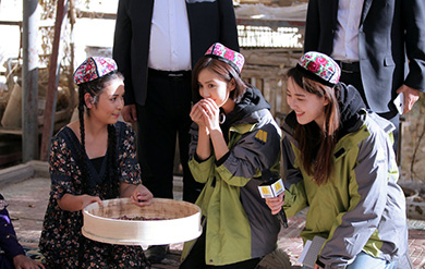 佟丽娅返乡调研