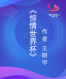 《惊情世界杯》