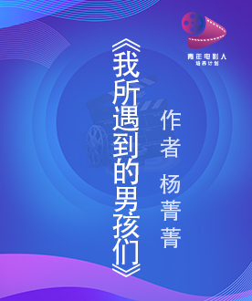 《我所遇到的男孩们》