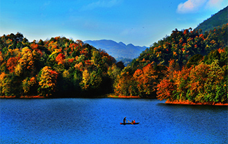 贵州省毕节市百里杜鹃