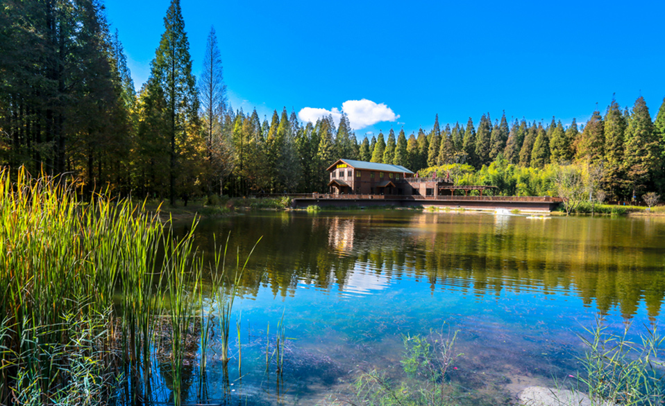 江苏省东台市黄海国家森林公园