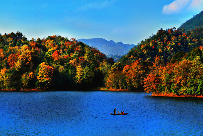 贵州省毕节市百里杜鹃