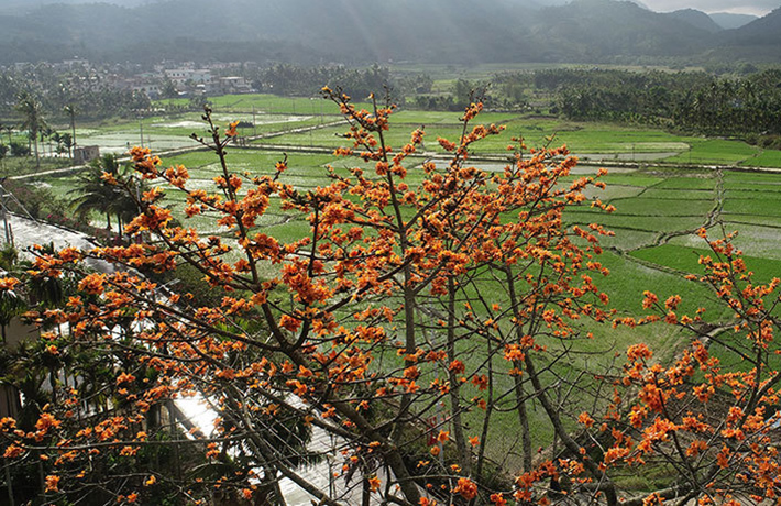 陵水成为“中国最美外景地”：用魅力打开世界之窗