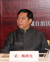 导演梅帅元采访