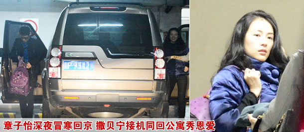 章子怡深夜回京撒贝宁接机同回公寓图片