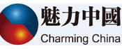 魅力中国