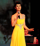 凤求凰 付娆演唱