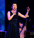 忆王孙 宋菁菁演唱