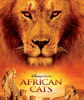 非洲猫科