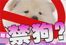 lady呱呱-管人还是禁狗