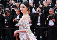 戛纳红毯争艳 范冰冰Baby馨予变"花姑娘"