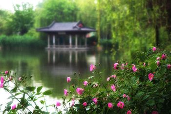 【“疫”後花開 邁向詩和遠方】天下第一泉景區：泉湖河城匯大美