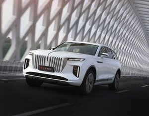 各美其美,美美与共——2020中国企业家博鳌论坛品牌品鉴交流会侧记