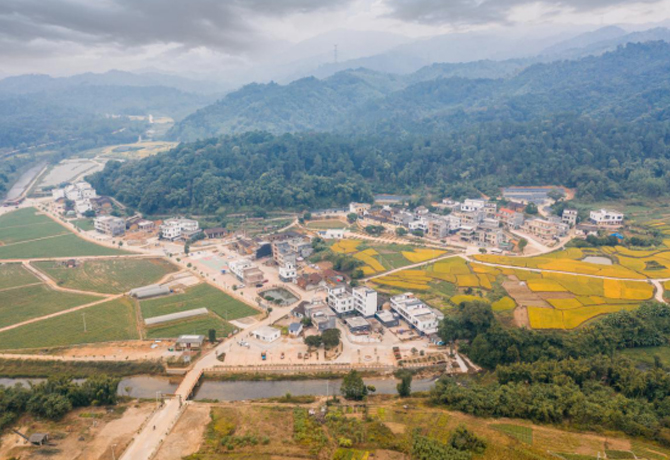 巩固拓展脱贫攻坚成果 碧桂园全面推进乡村振兴