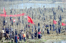 江西4年春节上班首日植树团拜118万人栽树938万株