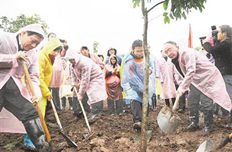 重庆5000余名市民冒雨义务植树