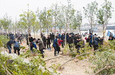 浙江12万干部群众新年植树代替拜年