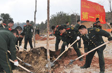 广西武警新春植树为壮乡添新绿