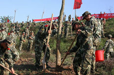 武警海南总队千余名官兵植树为宝岛添绿