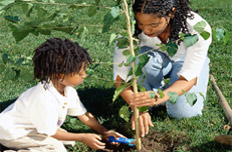 家中&ldquo;添丁&rdquo;种树