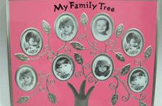 波兰要植&ldquo;家庭树&rdquo;