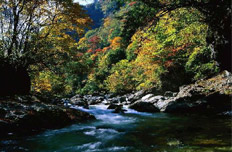 神农架国家森林公园