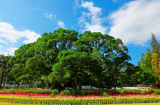 福州国家森林公园