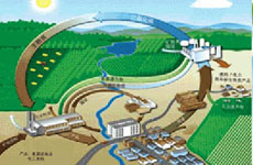 生物质能：智利人的循环经济理念