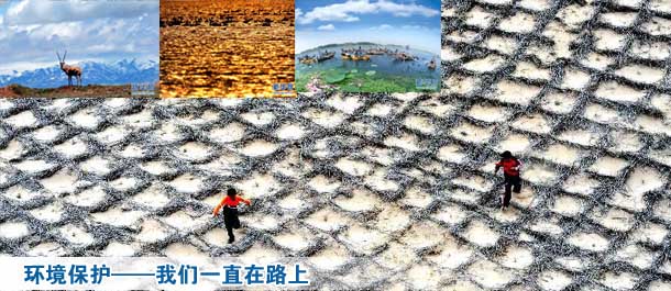 保护环境——我们一直在路上[组图]