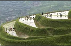 加大自然生态系统和环境保护力度