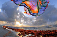 摄影师镜头下的美丽中国